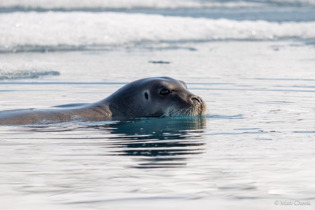 OTL04-25, Day 2, Matt Cheok, Raudfjorden(4) © Matthew Cheok - Oceanwide Expeditions.jpg