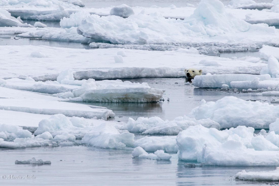 OTL04-25, Day 5, 0Q9A8047-Enhanced-NR © Martin Anstee - Oceanwide Expeditions.jpg