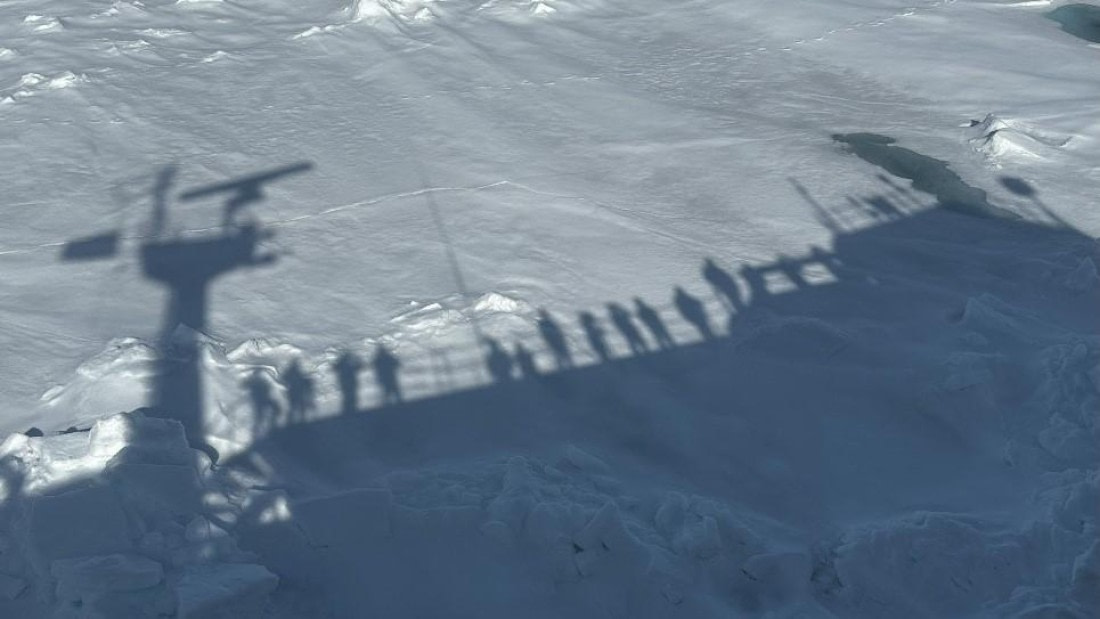 PLA05-25, Day 5, Pack ice 2 © Unknown photographer - Oceanwide Expeditions.jpg