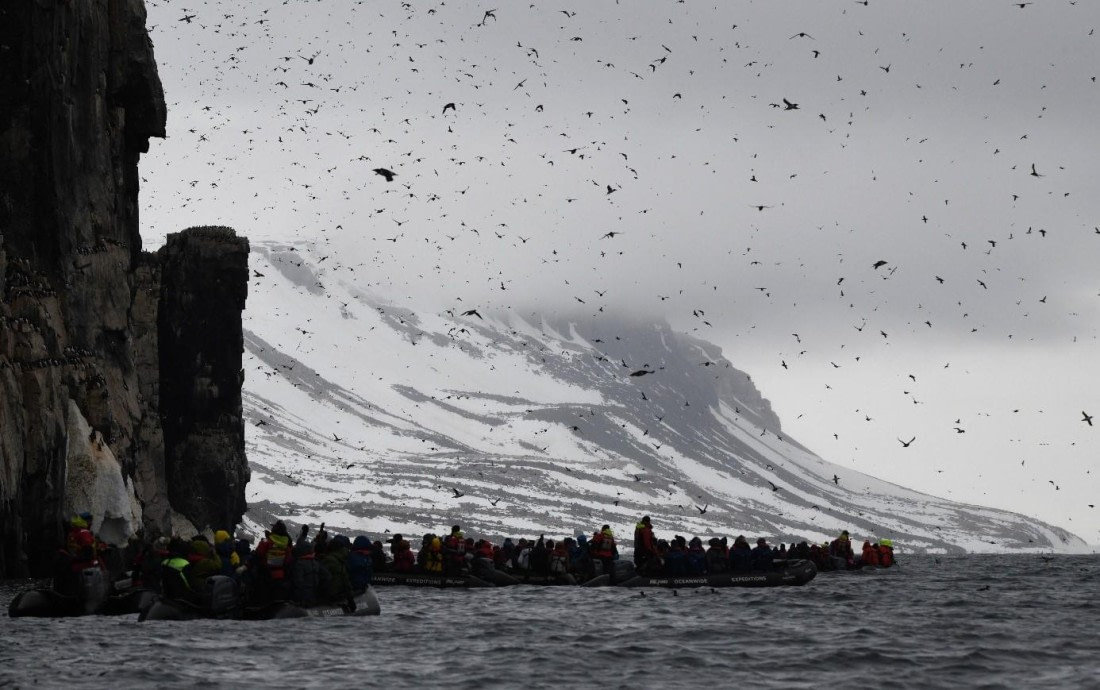 HDS04-25, Day 4, Alkefjellet © Unknown photographer - Oceanwide Expeditions.jpg