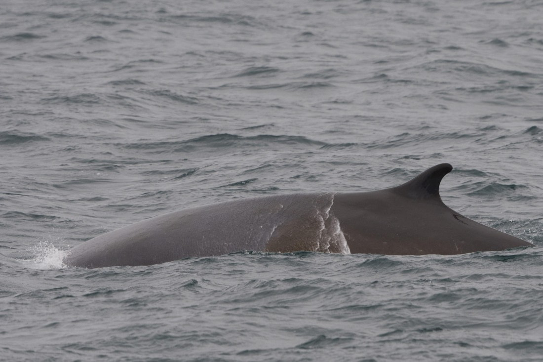 Vlissingen - Longyearbyen (23) © Frank Maes - Oceanwide Expeditions.JPG