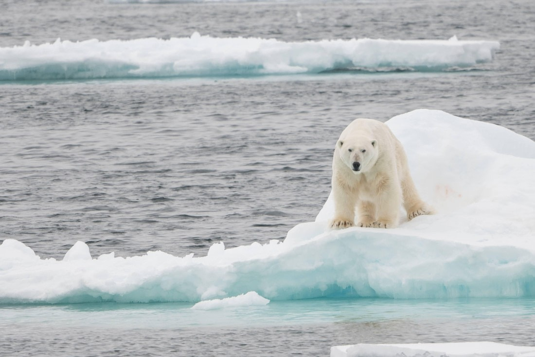 Vlissingen - Longyearbyen (57) © Frank Maes - Oceanwide Expeditions.JPG
