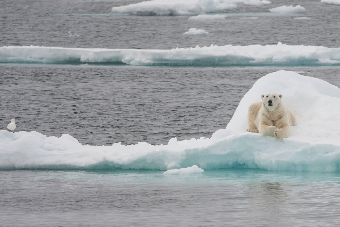 Vlissingen - Longyearbyen (58) © Frank Maes - Oceanwide Expeditions.JPG