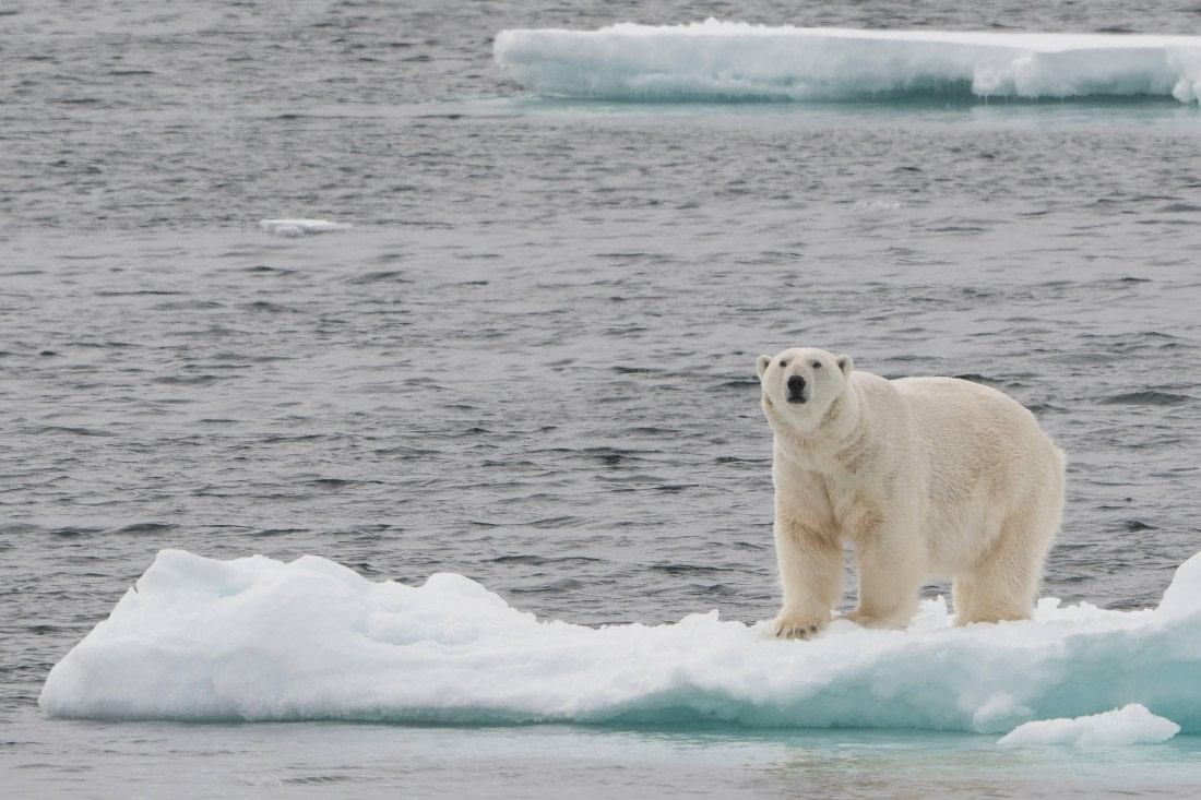 Vlissingen - Longyearbyen (60) © Frank Maes - Oceanwide Expeditions.JPG