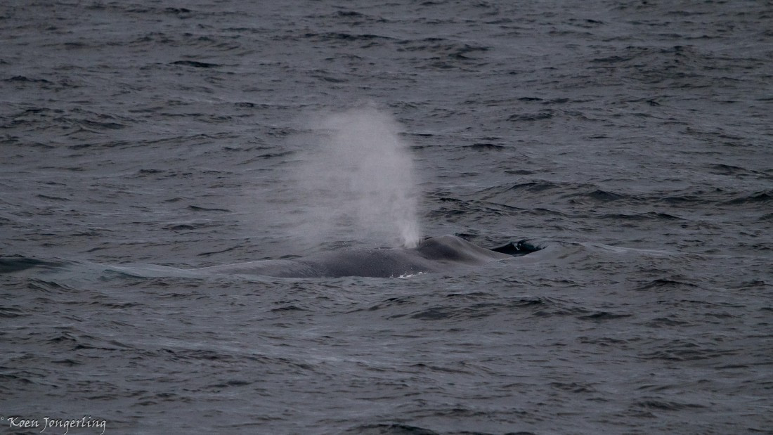 OTL05-25, Day 1, IMG_8932 © Koen Jongerling - Oceanwide Expeditions.jpg