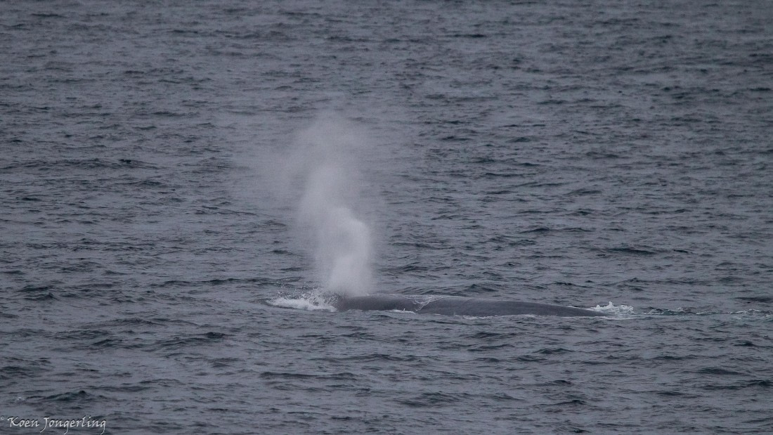 OTL05-25, Day 1, IMG_8944 © Koen Jongerling - Oceanwide Expeditions.jpg