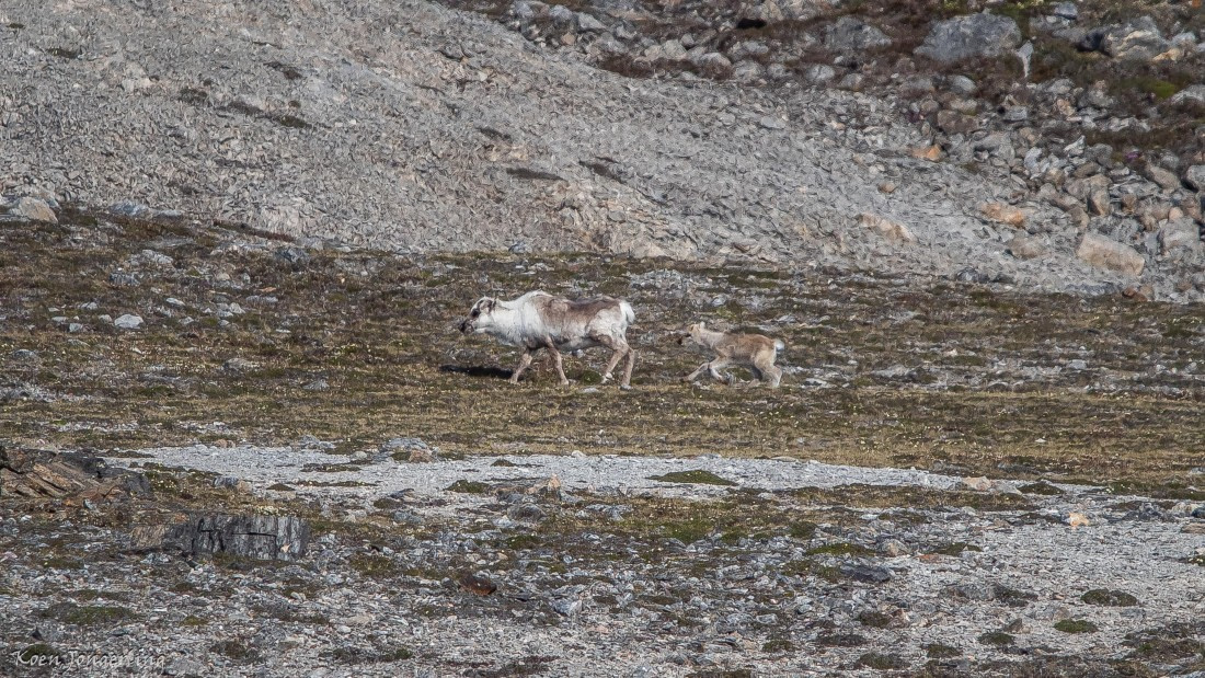 OTL05-25, Day 2, IMG_8977 © Koen Jongerling - Oceanwide Expeditions.jpg