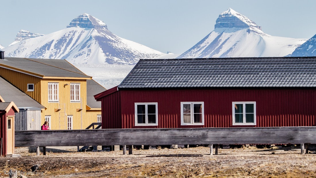 OTL05-25, Day 2, IMG_9002 © Koen Jongerling - Oceanwide Expeditions.jpg