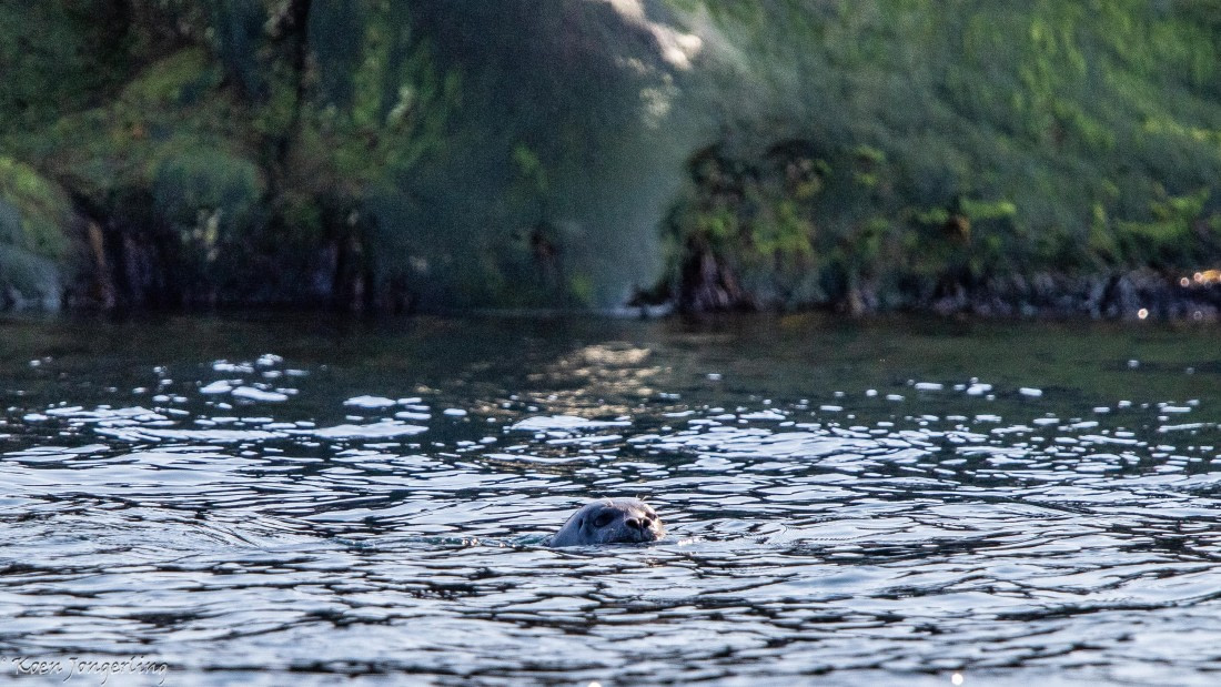 OTL05-25, Day 2, IMG_9057 © Koen Jongerling - Oceanwide Expeditions.jpg