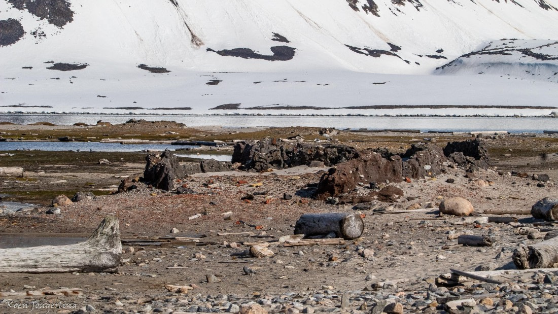 OTL05-25, Day 3, IMG_9105 © Koen Jongerling - Oceanwide Expeditions.jpg