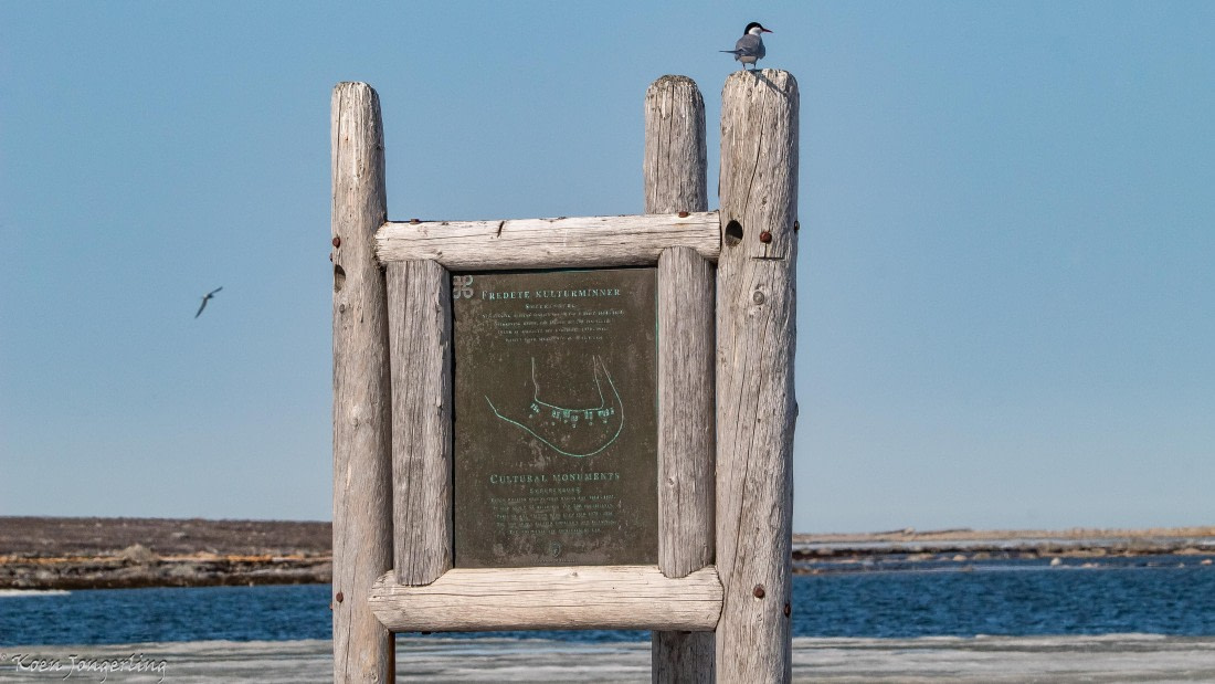 OTL05-25, Day 3, IMG_9108 © Koen Jongerling - Oceanwide Expeditions.jpg