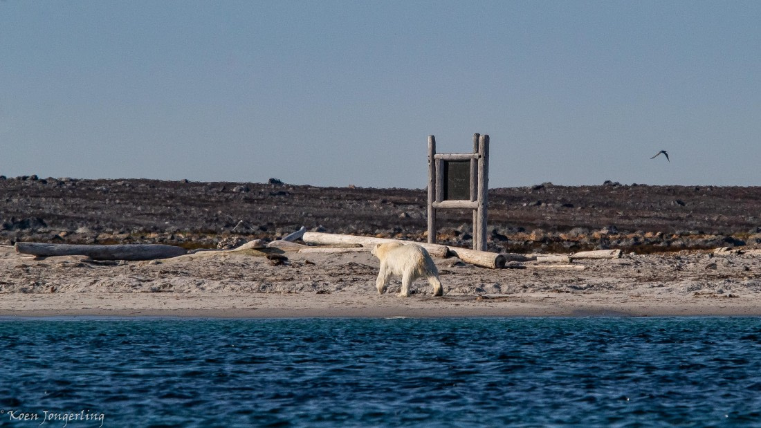 OTL05-25, Day 3, IMG_9156 © Koen Jongerling - Oceanwide Expeditions.jpg