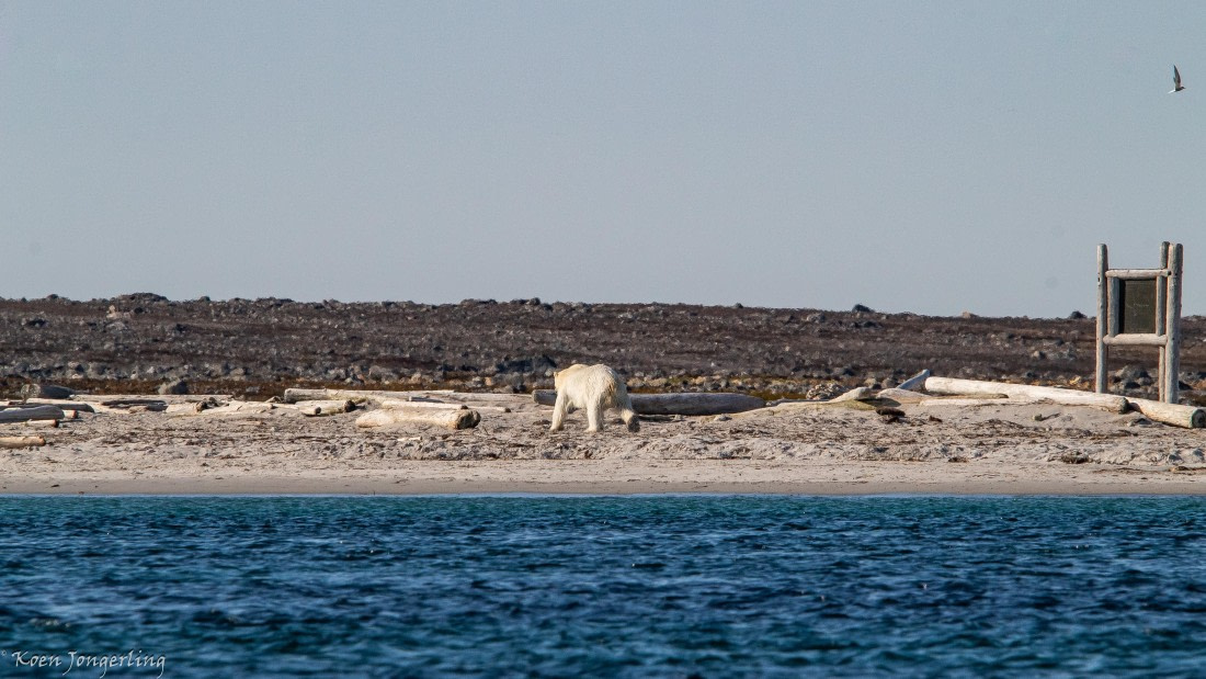 OTL05-25, Day 3, IMG_9160 © Koen Jongerling - Oceanwide Expeditions.jpg