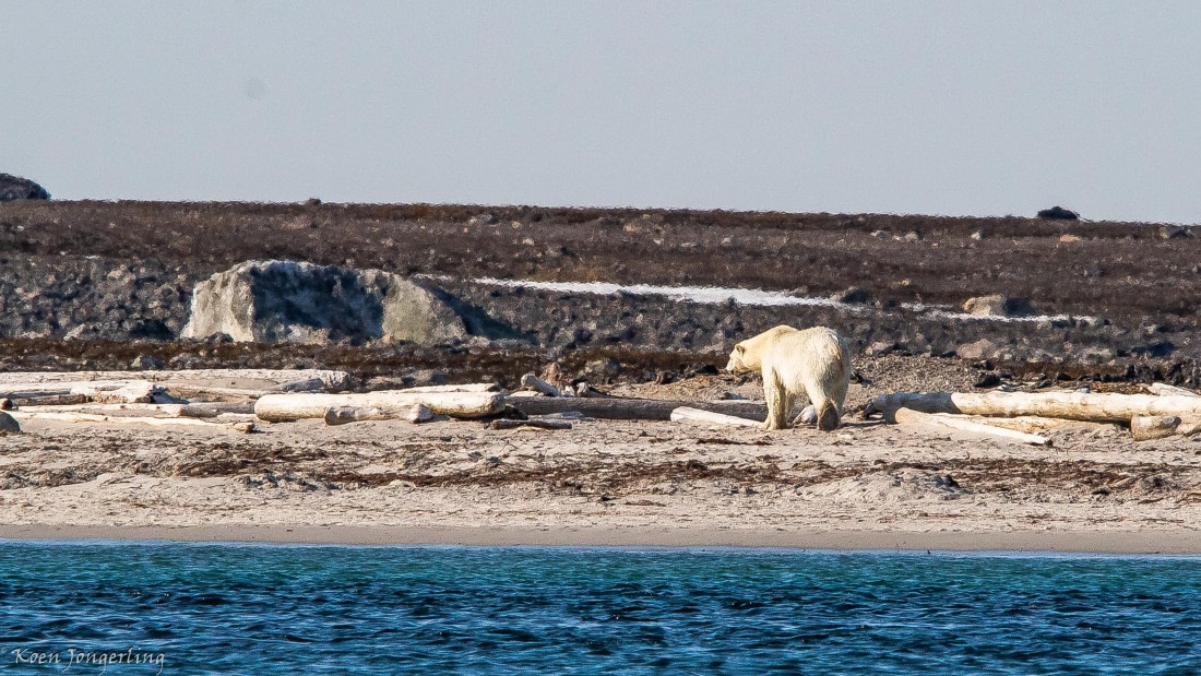 OTL05-25, Day 3, IMG_9164 © Koen Jongerling - Oceanwide Expeditions.jpg