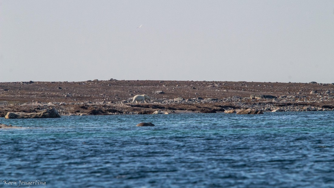 OTL05-25, Day 3, IMG_9174 © Koen Jongerling - Oceanwide Expeditions.jpg