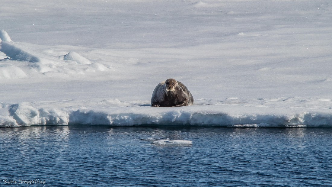 OTL05-25, Day 4, IMG_9199 © Koen Jongerling - Oceanwide Expeditions.jpg