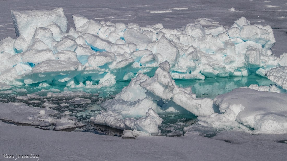 OTL05-25, Day 4, IMG_9214 © Koen Jongerling - Oceanwide Expeditions.jpg