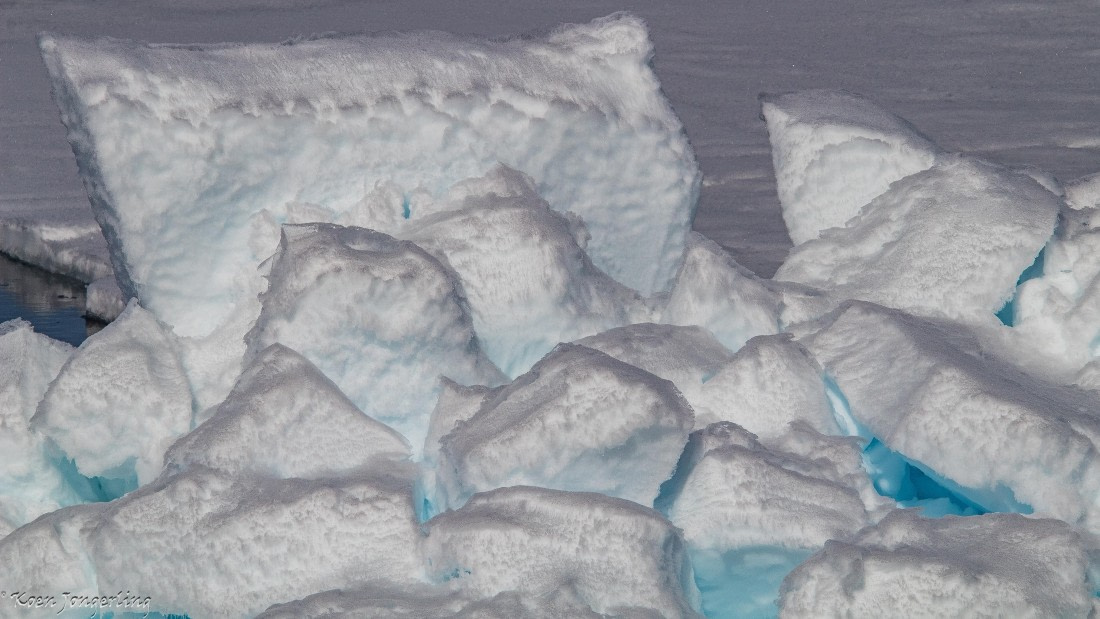 OTL05-25, Day 4, IMG_9217 © Koen Jongerling - Oceanwide Expeditions.jpg