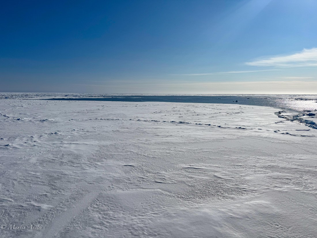 OTL05-25, Day 4, Scene (3) © Martin Anstee - Oceanwide Expeditions.jpg