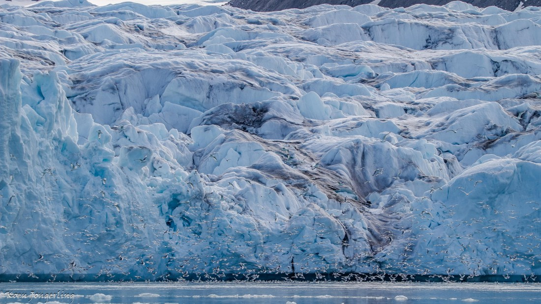OTL05-25, Day 5, IMG_9316 © Koen Jongerling - Oceanwide Expeditions.jpg