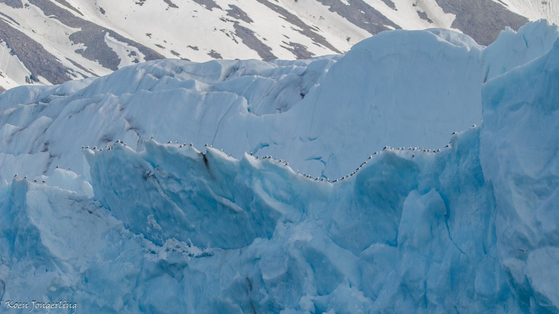 OTL05-25, Day 5, IMG_9323 © Koen Jongerling - Oceanwide Expeditions.jpg