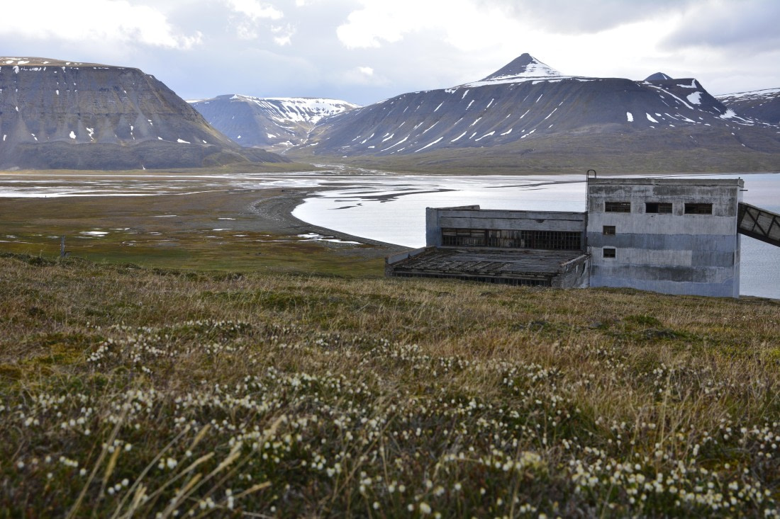 OTL05-25, Day 7, _DSC1044 © Unknown photographer - Oceanwide Expeditions.JPG