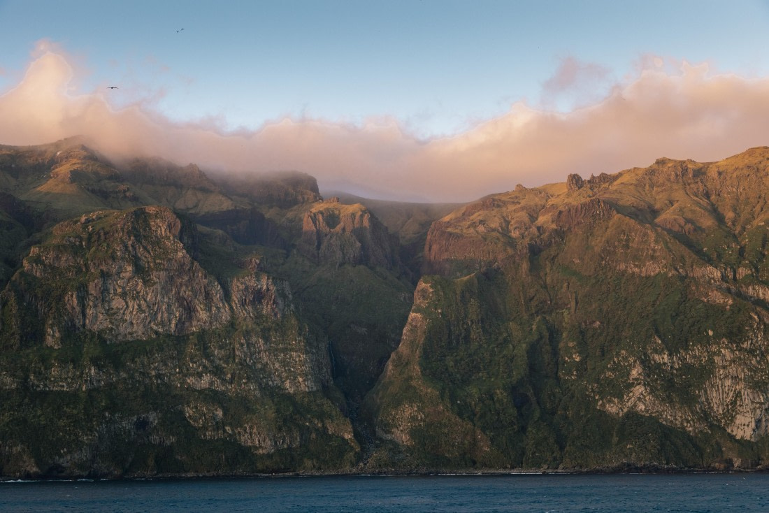 Gough Island, MG_5203 © Augusto Gomes - Oceanwide Expeditions.jpg