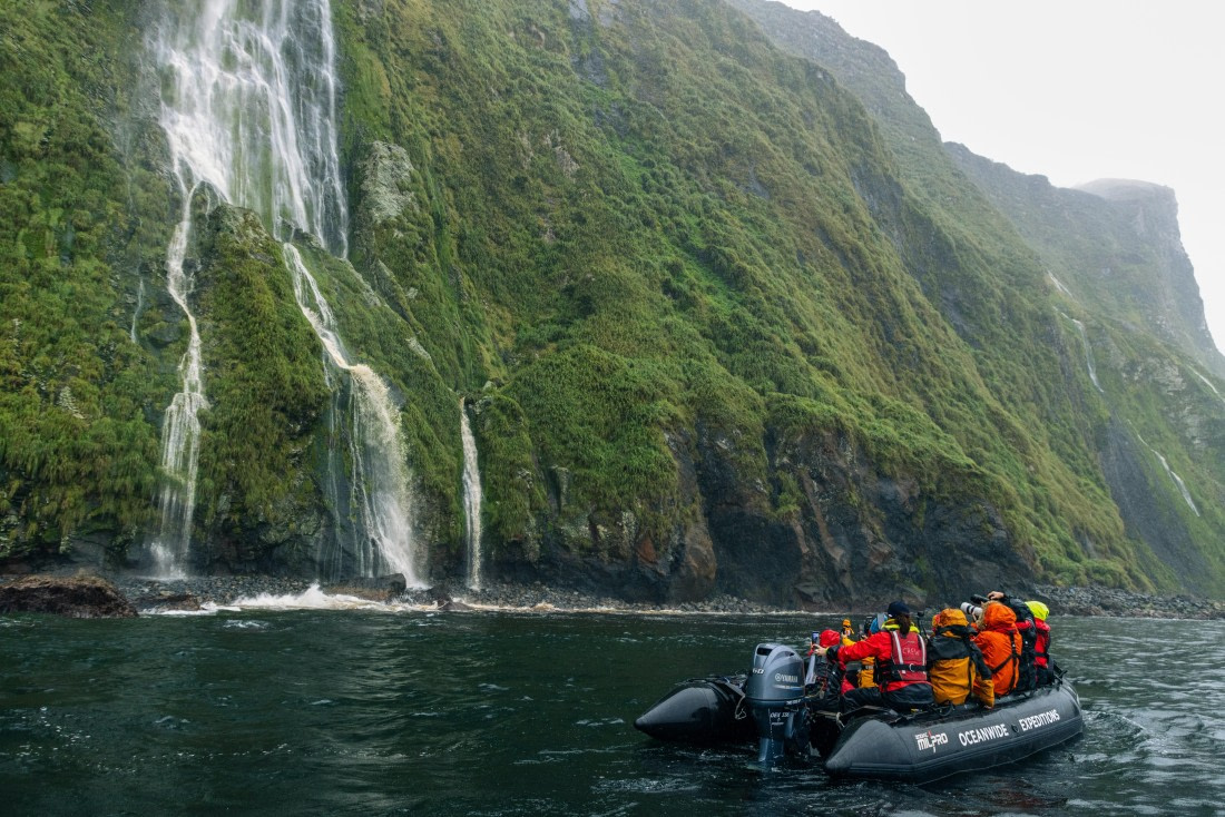 Inaccessible Island, MG_7128 © Augusto Gomes - Oceanwide Expeditions.jpg