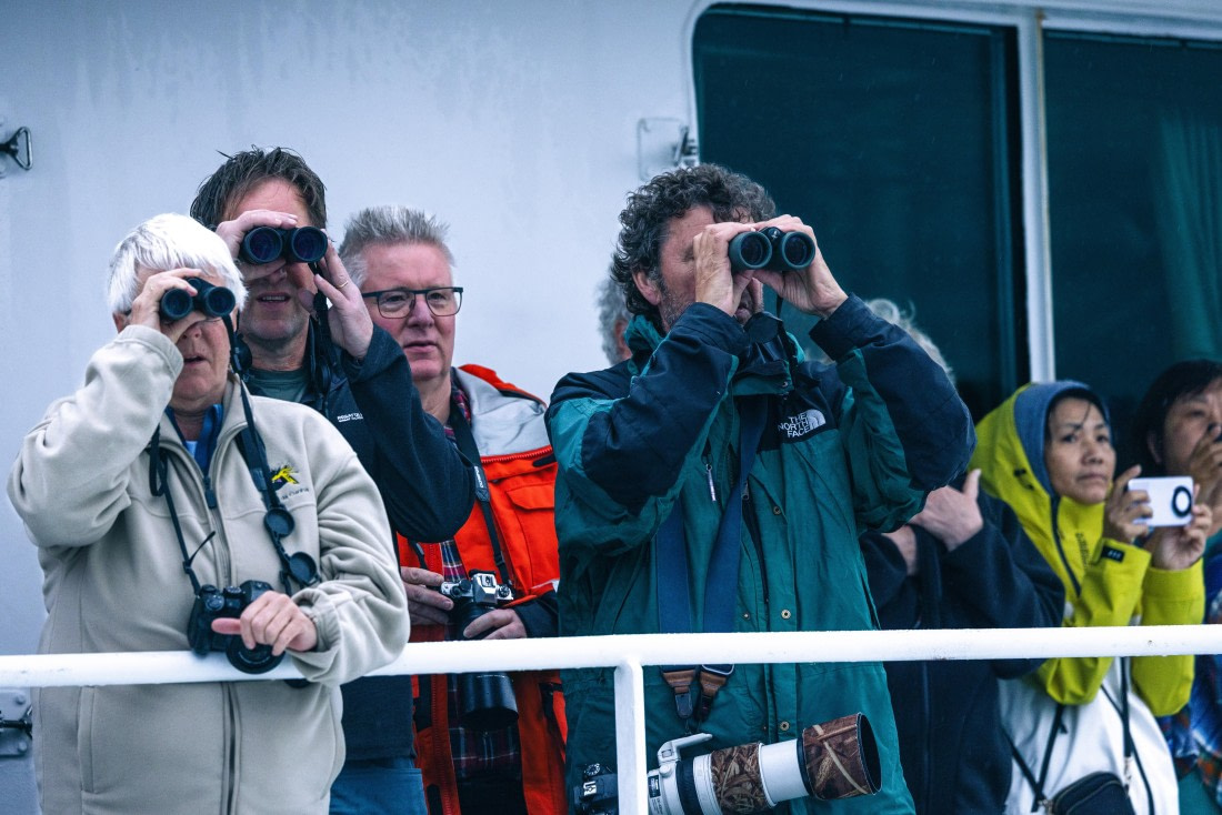 Inaccessible Island, MG_7420 © Augusto Gomes - Oceanwide Expeditions.jpg