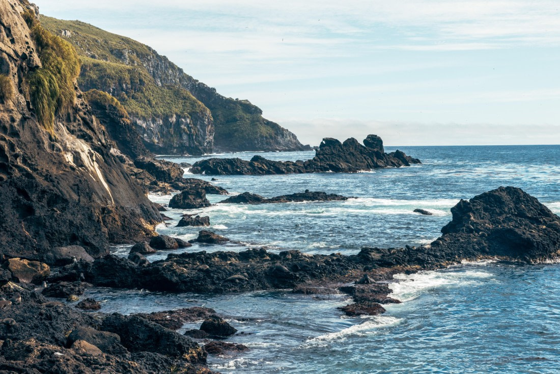 Nightingale Island, MG_5280 © Augusto Gomes - Oceanwide Expeditions.jpg