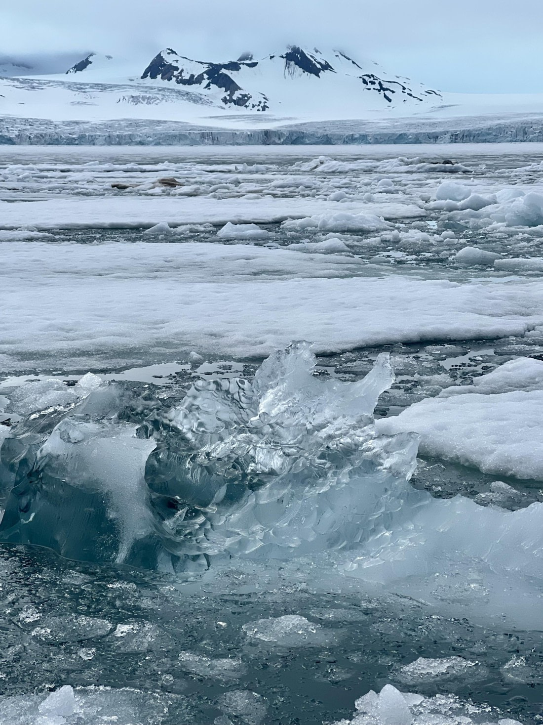 HDS05-25, Day 9, samarinvagen2 © Unknown photographer - Oceanwide Expeditions.JPG