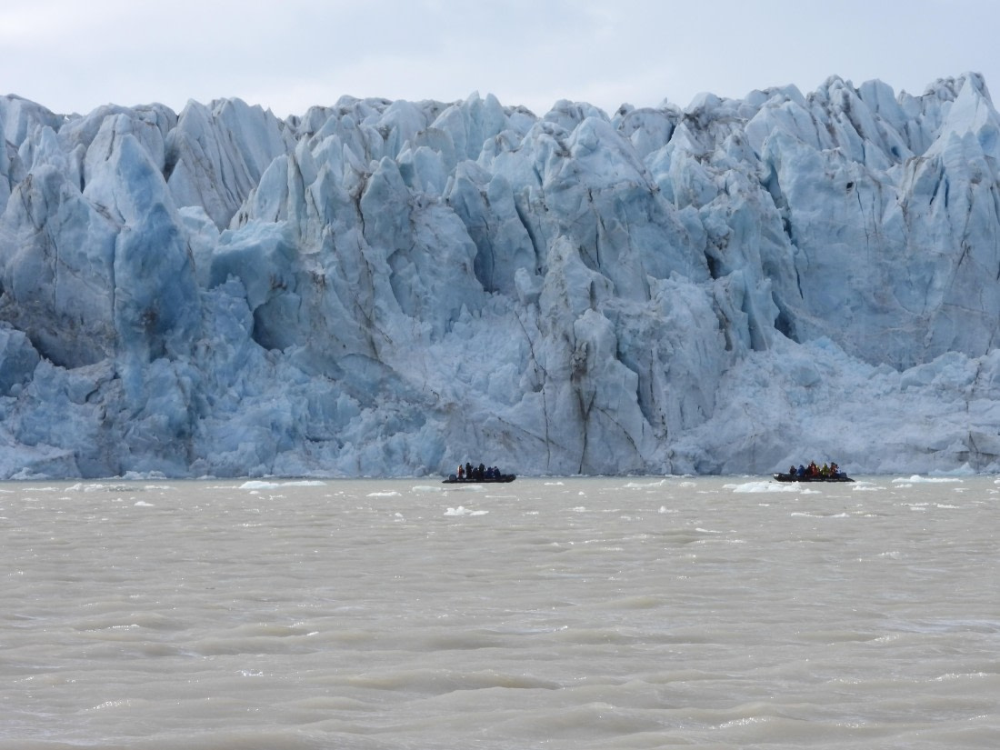 Zodiac cruise Monacobreen, July 3, 2025, Plancius