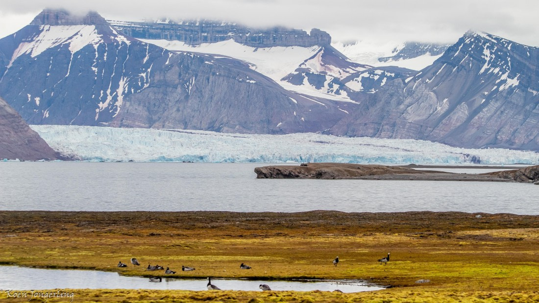 OTL06-25, Day 2, IMG_9431 © Koen Jongerling - Oceanwide Expeditions.jpg