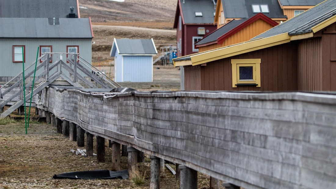 OTL06-25, Day 2, IMG_9432 © Koen Jongerling - Oceanwide Expeditions.jpg