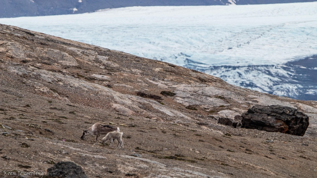OTL06-25, Day 2, IMG_9451 © Koen Jongerling - Oceanwide Expeditions.jpg