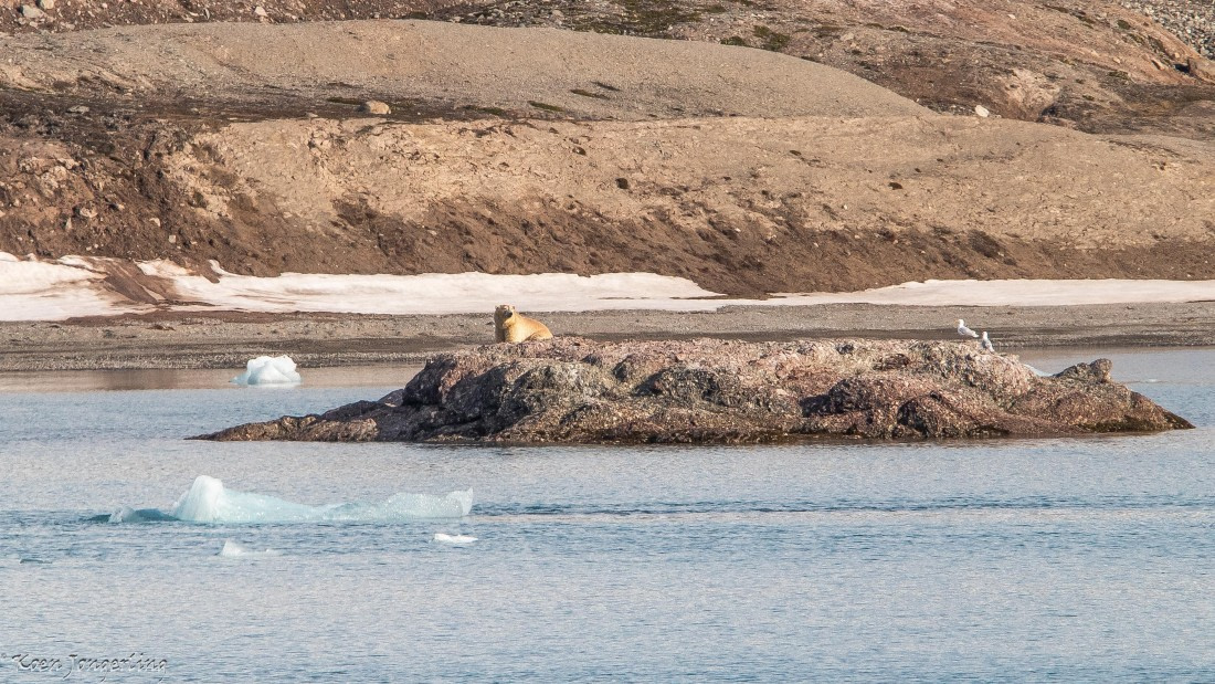 OTL06-25, Day 3, IMG_9538 © Koen Jongerling - Oceanwide Expeditions.jpg