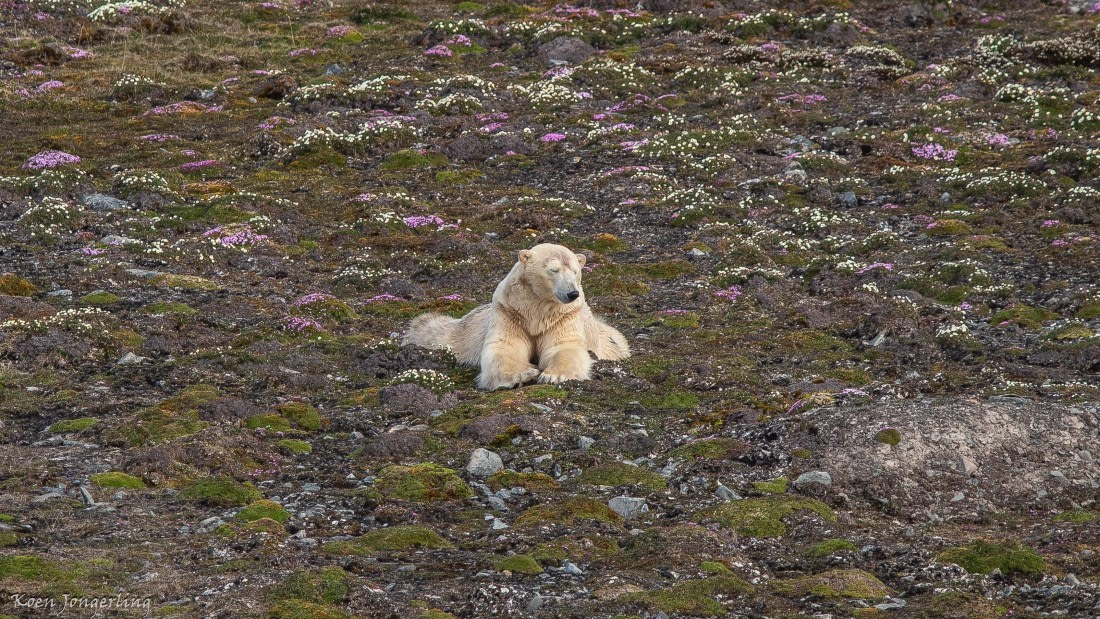 OTL06-25, Day 3, IMG_9555 © Koen Jongerling - Oceanwide Expeditions.jpg