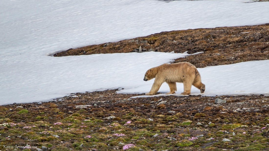 OTL06-25, Day 3, IMG_9561 © Koen Jongerling - Oceanwide Expeditions.jpg