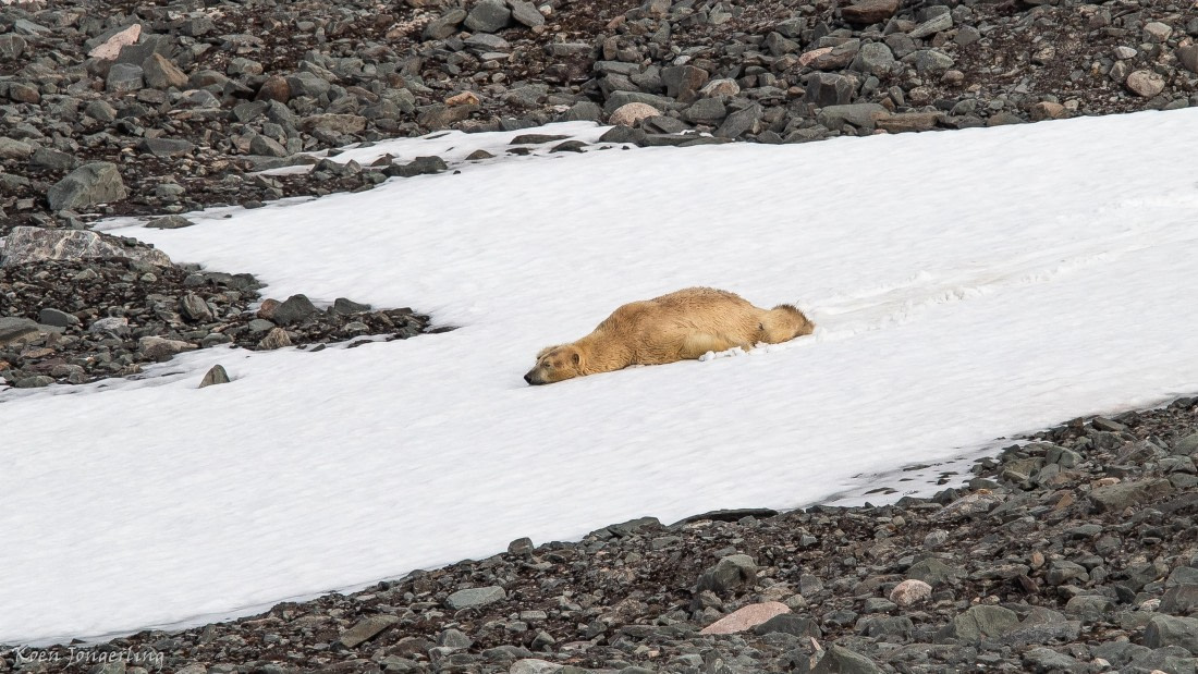 OTL06-25, Day 3, IMG_9573 © Koen Jongerling - Oceanwide Expeditions.jpg