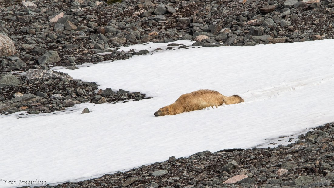 OTL06-25, Day 3, IMG_9574 © Koen Jongerling - Oceanwide Expeditions.jpg