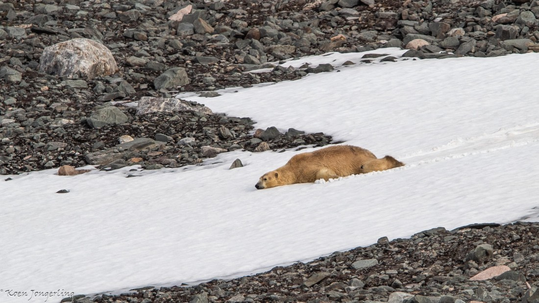 OTL06-25, Day 3, IMG_9575 © Koen Jongerling - Oceanwide Expeditions.jpg