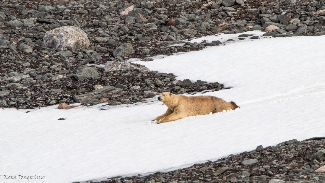 OTL06-25, Day 3, IMG_9576 © Koen Jongerling - Oceanwide Expeditions.jpg