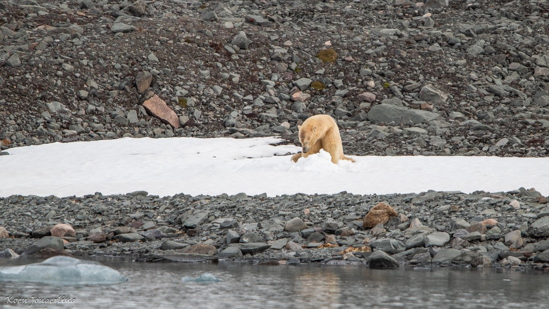 OTL06-25, Day 3, IMG_9579 © Koen Jongerling - Oceanwide Expeditions.jpg