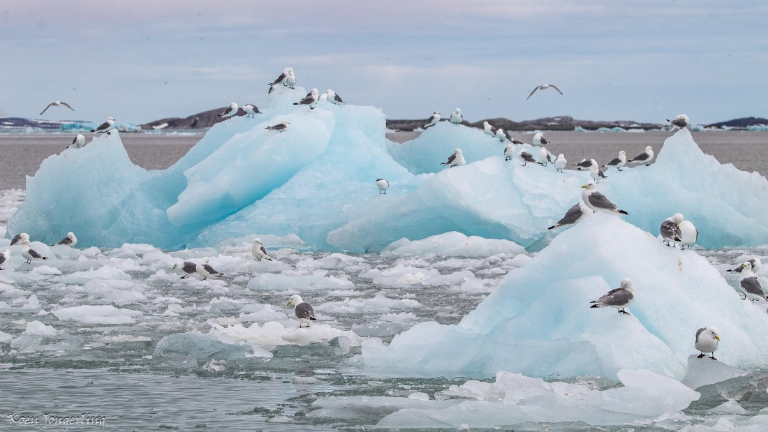 OTL06-25, Day 3, IMG_9627 © Koen Jongerling - Oceanwide Expeditions.jpg
