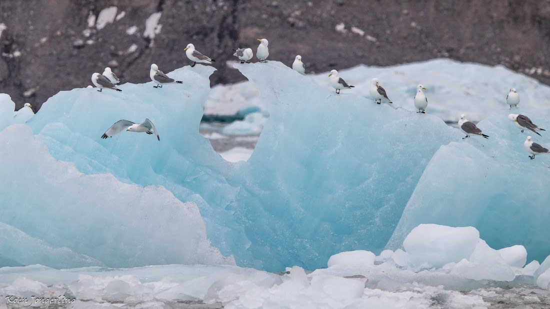 OTL06-25, Day 3, IMG_9630 © Koen Jongerling - Oceanwide Expeditions.jpg