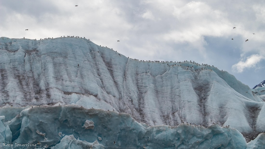 OTL06-25, Day 3, IMG_9635 © Koen Jongerling - Oceanwide Expeditions.jpg