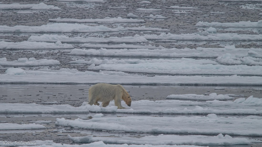 OTL06-25, Day 4, IMG_9684 © Koen Jongerling - Oceanwide Expeditions.jpg