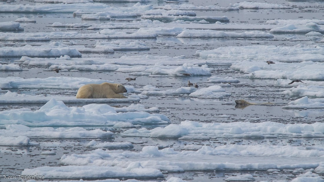 OTL06-25, Day 4, IMG_9723 © Koen Jongerling - Oceanwide Expeditions.jpg