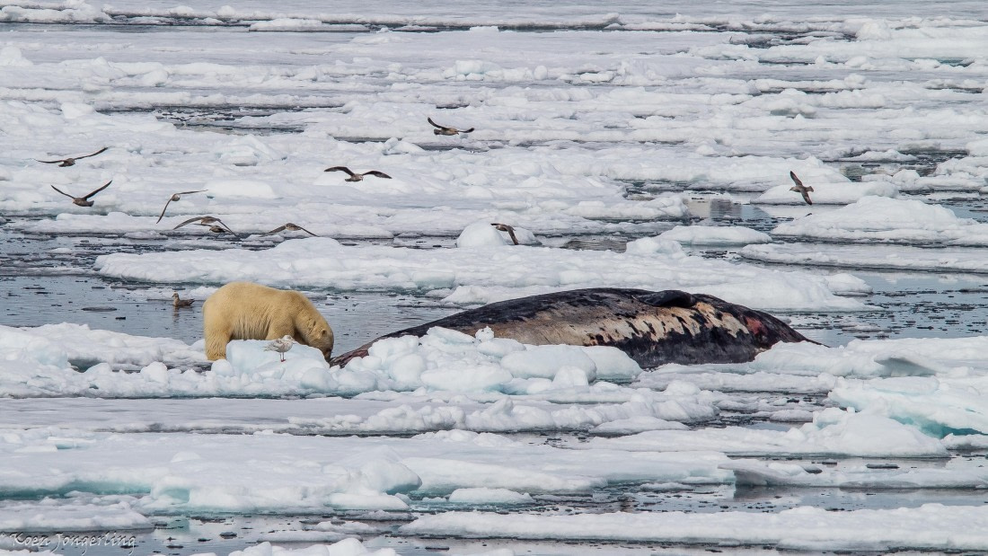 OTL06-25, Day 4, IMG_9763 © Koen Jongerling - Oceanwide Expeditions.jpg
