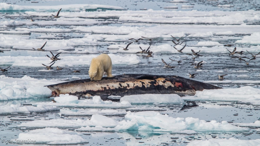 OTL06-25, Day 4, IMG_9762 © Koen Jongerling - Oceanwide Expeditions.jpg
